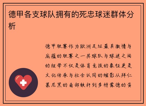 德甲各支球队拥有的死忠球迷群体分析